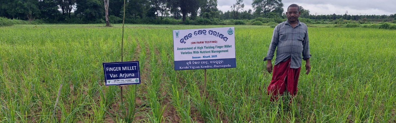 Krishi Vigyan Kendra, Jharsuguda