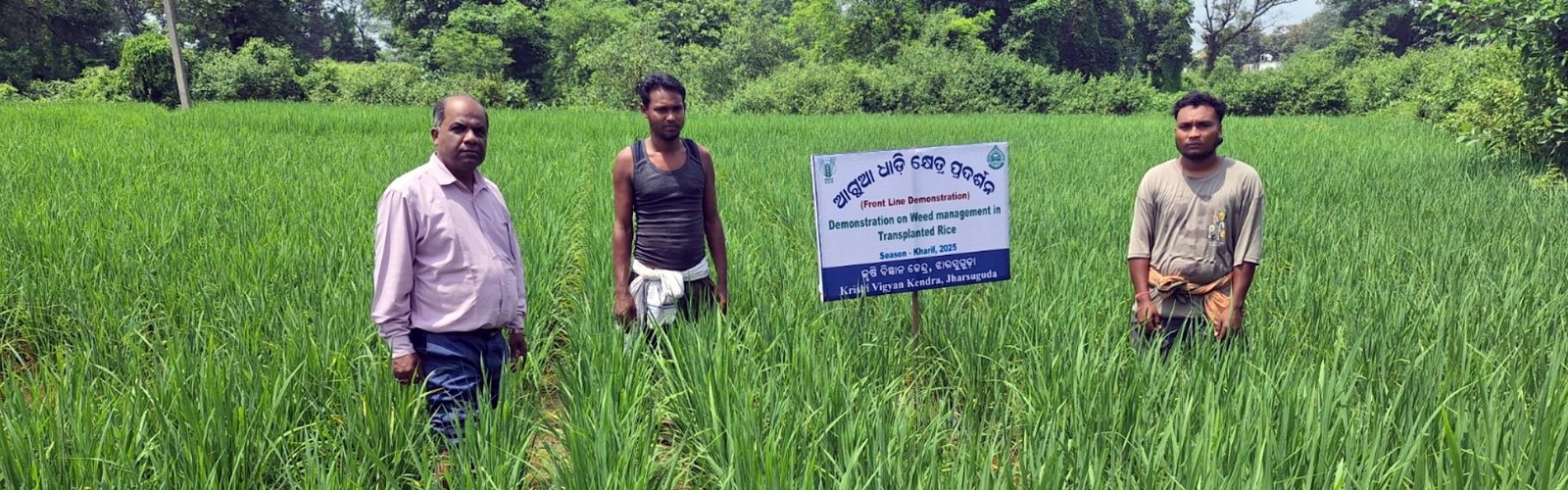 Krishi Vigyan Kendra, Jharsuguda