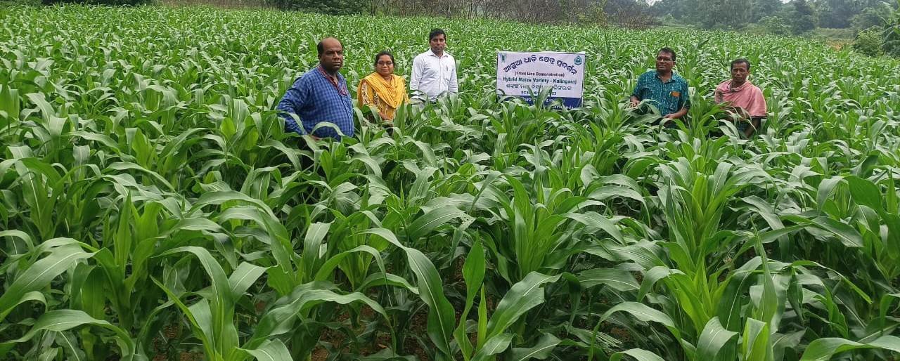 Krishi Vigyan Kendra, Jharsuguda
